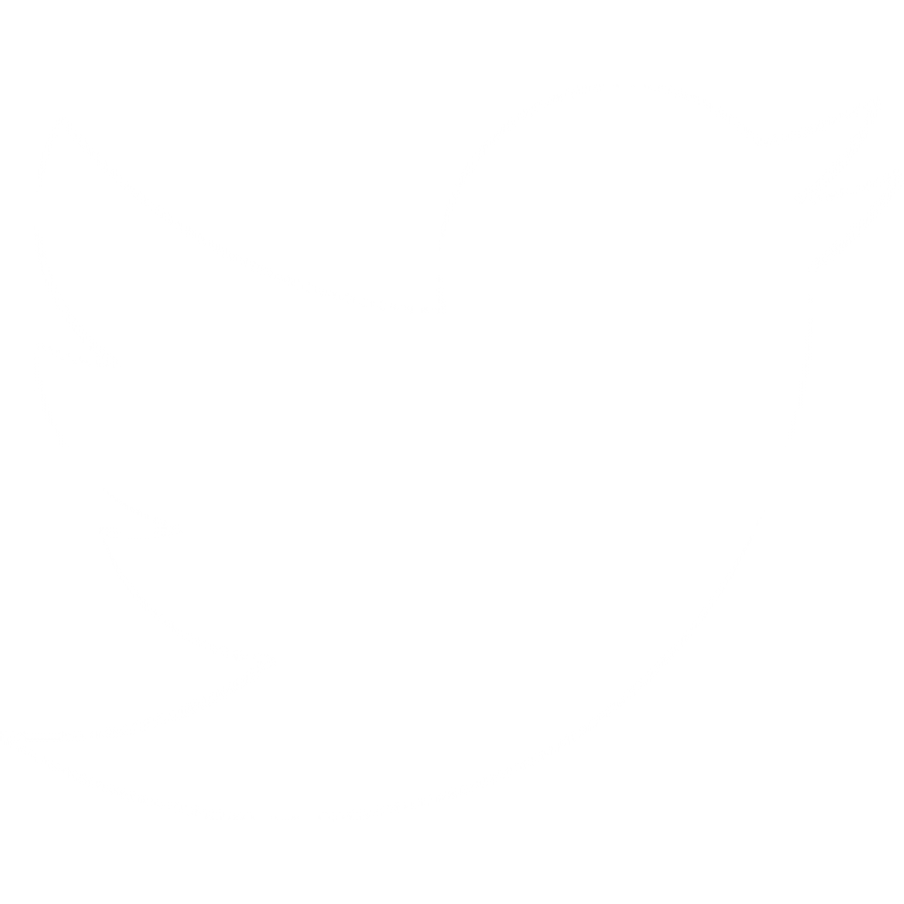 twitter image icon